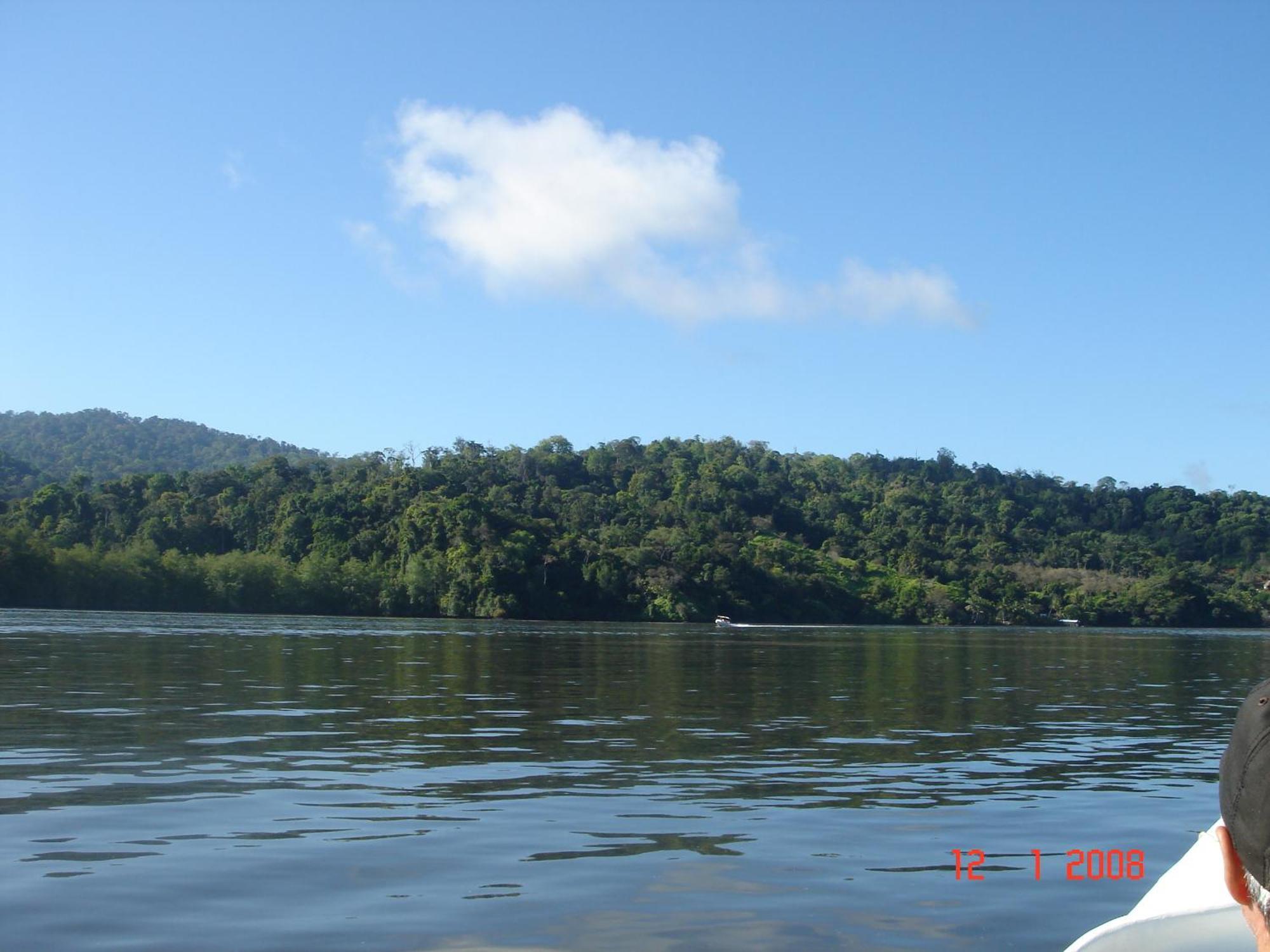 Isla Violin Eco-Lodge Drake Bay Ngoại thất bức ảnh