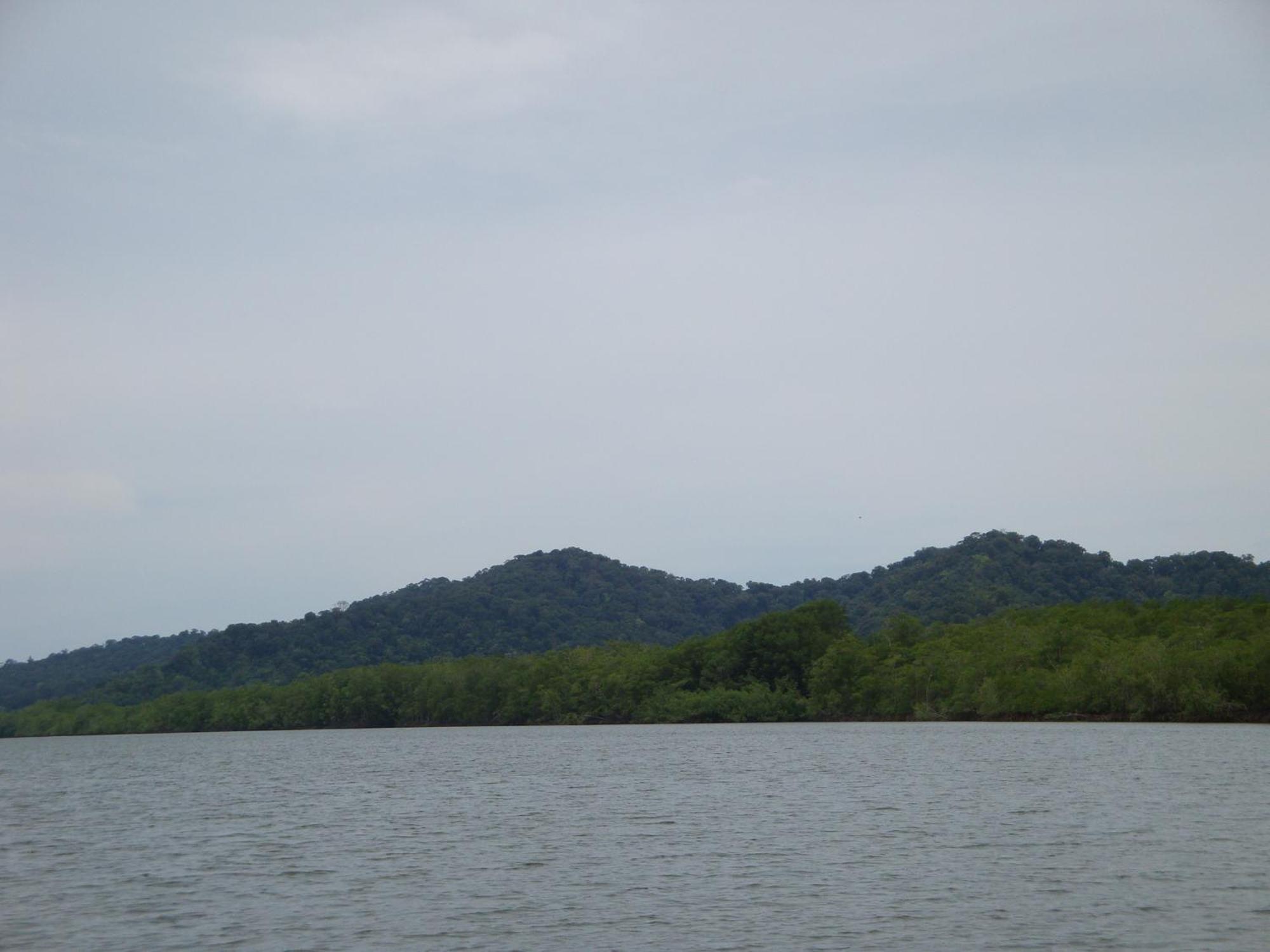 Isla Violin Eco-Lodge Drake Bay Ngoại thất bức ảnh