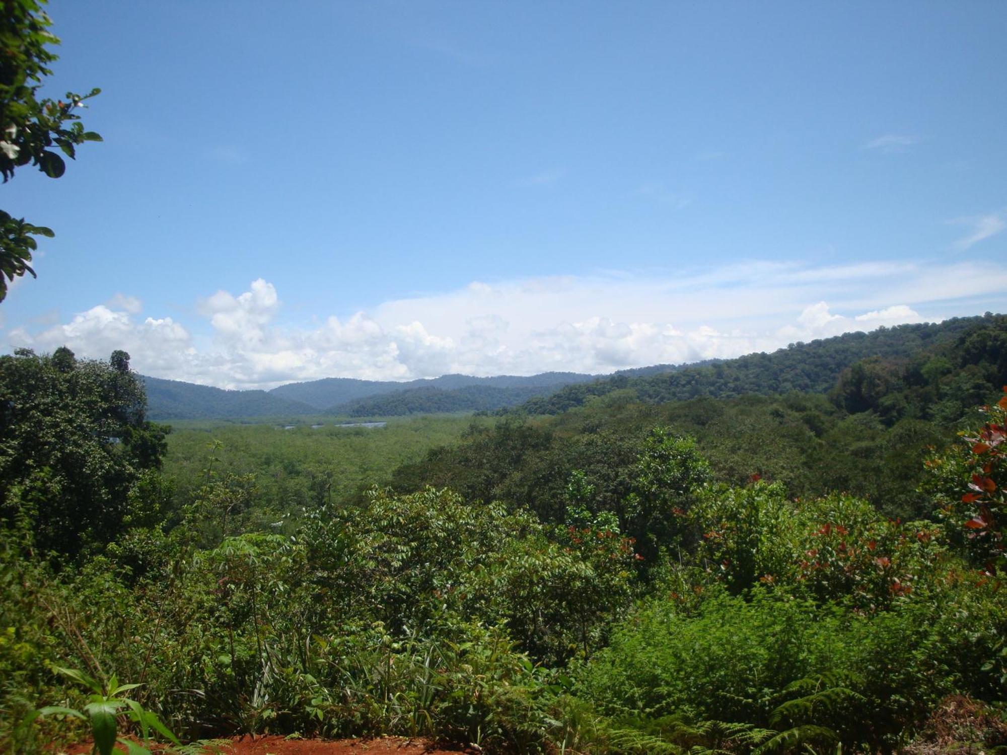 Isla Violin Eco-Lodge Drake Bay Ngoại thất bức ảnh