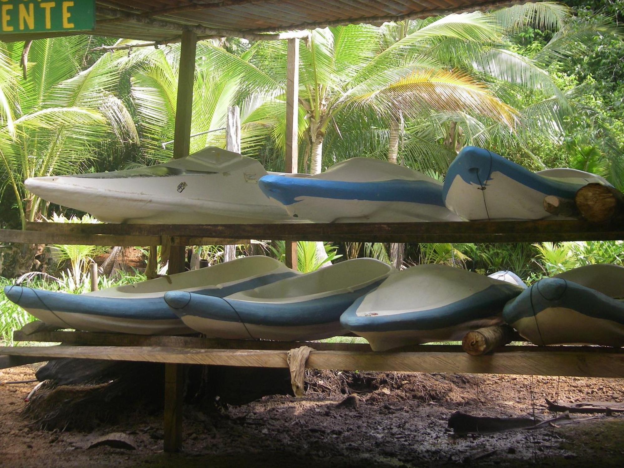 Isla Violin Eco-Lodge Drake Bay Ngoại thất bức ảnh