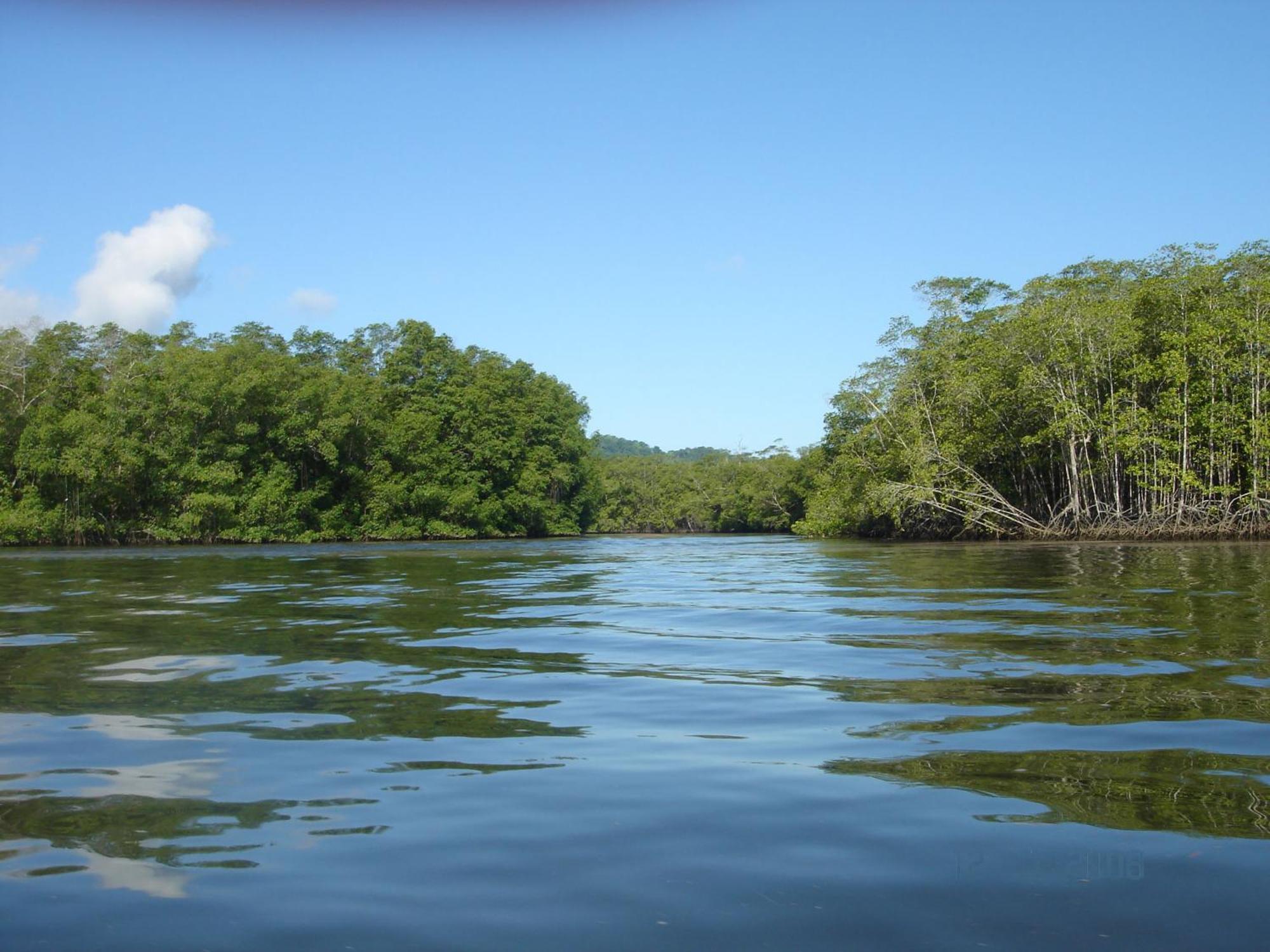 Isla Violin Eco-Lodge Drake Bay Ngoại thất bức ảnh