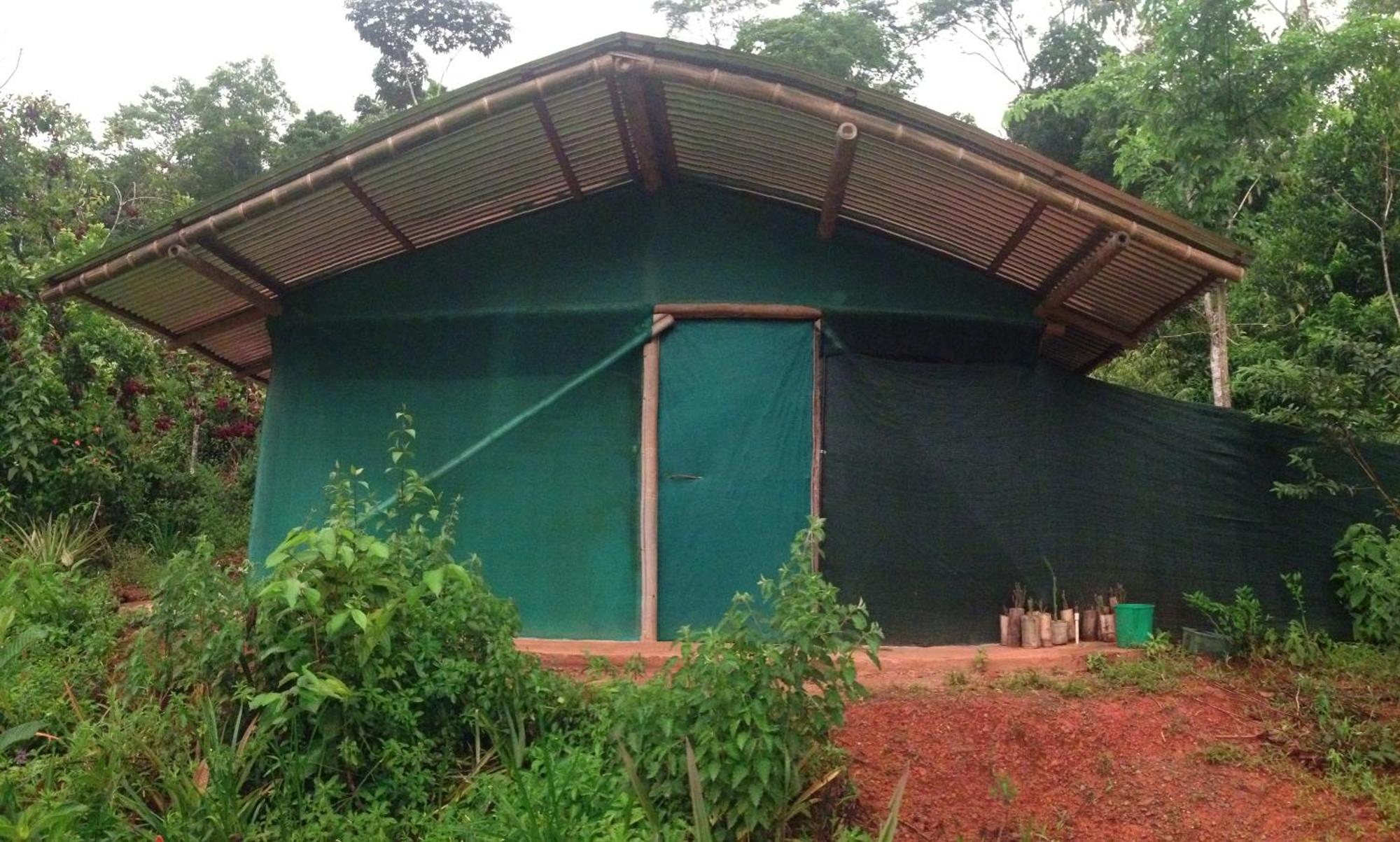 Isla Violin Eco-Lodge Drake Bay Phòng bức ảnh