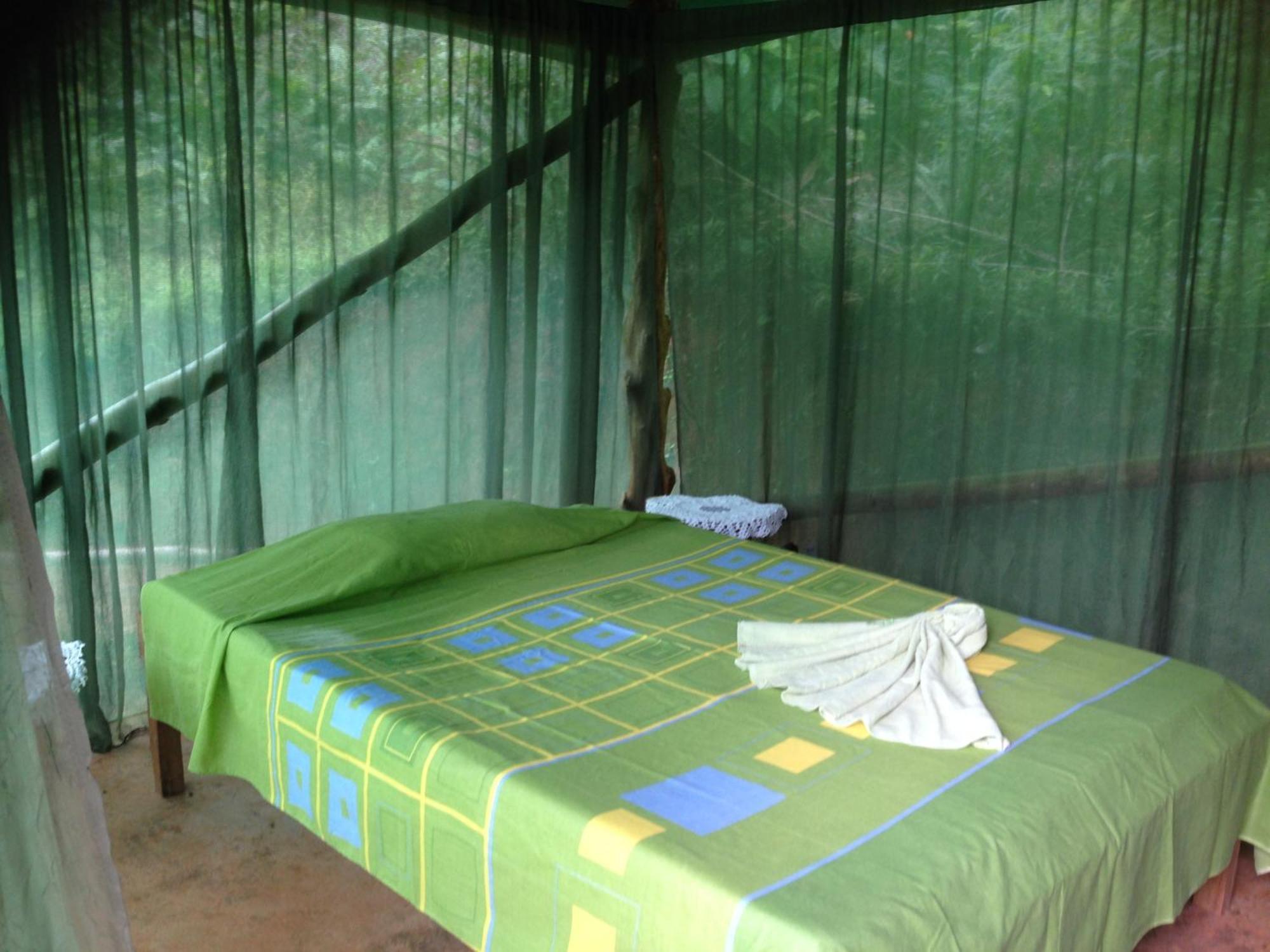 Isla Violin Eco-Lodge Drake Bay Phòng bức ảnh
