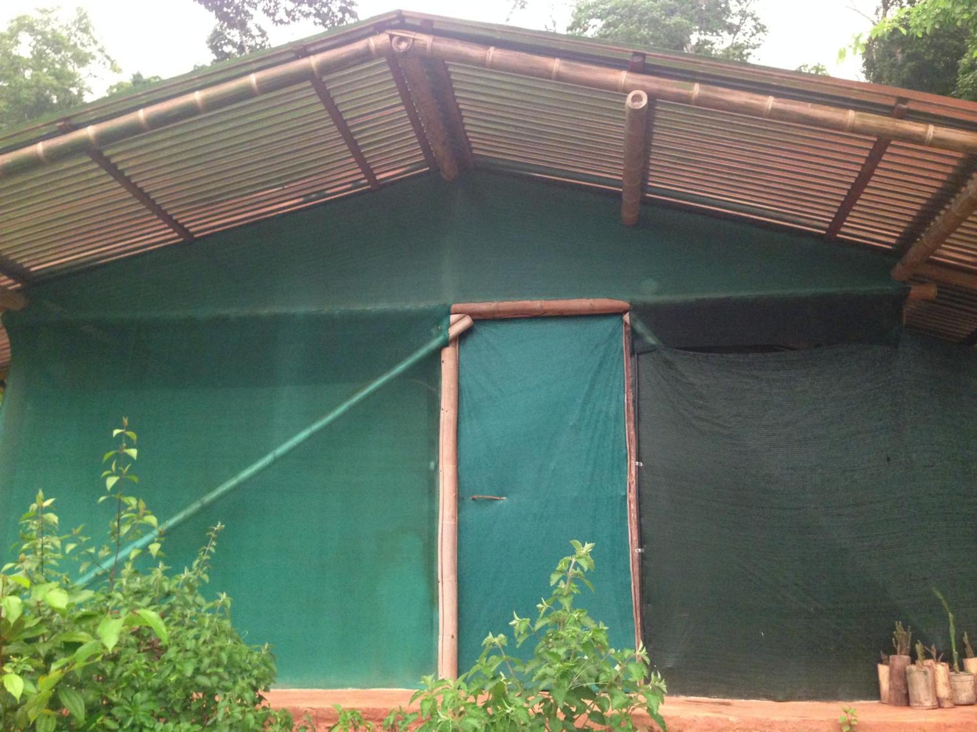 Isla Violin Eco-Lodge Drake Bay Phòng bức ảnh
