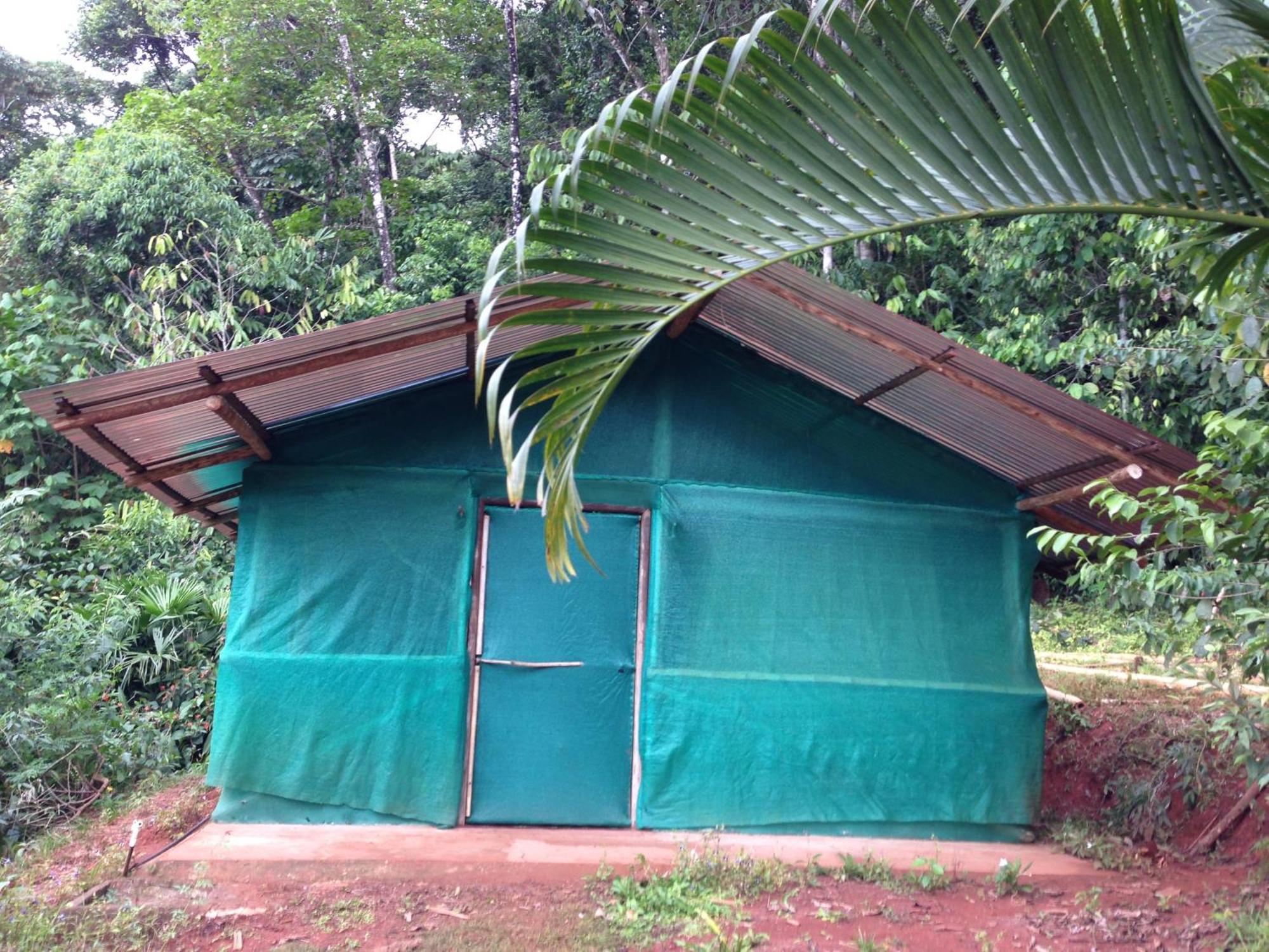 Isla Violin Eco-Lodge Drake Bay Phòng bức ảnh
