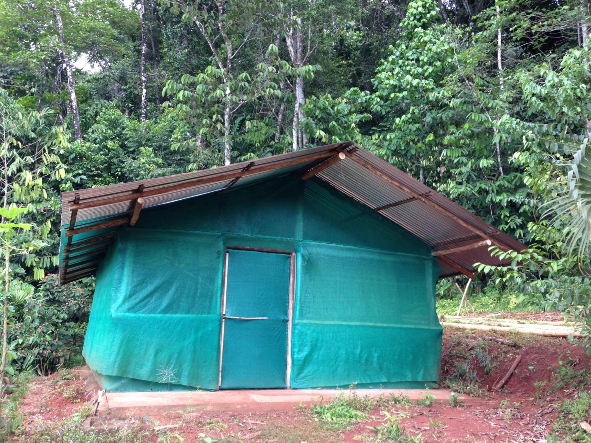 Isla Violin Eco-Lodge Drake Bay Phòng bức ảnh