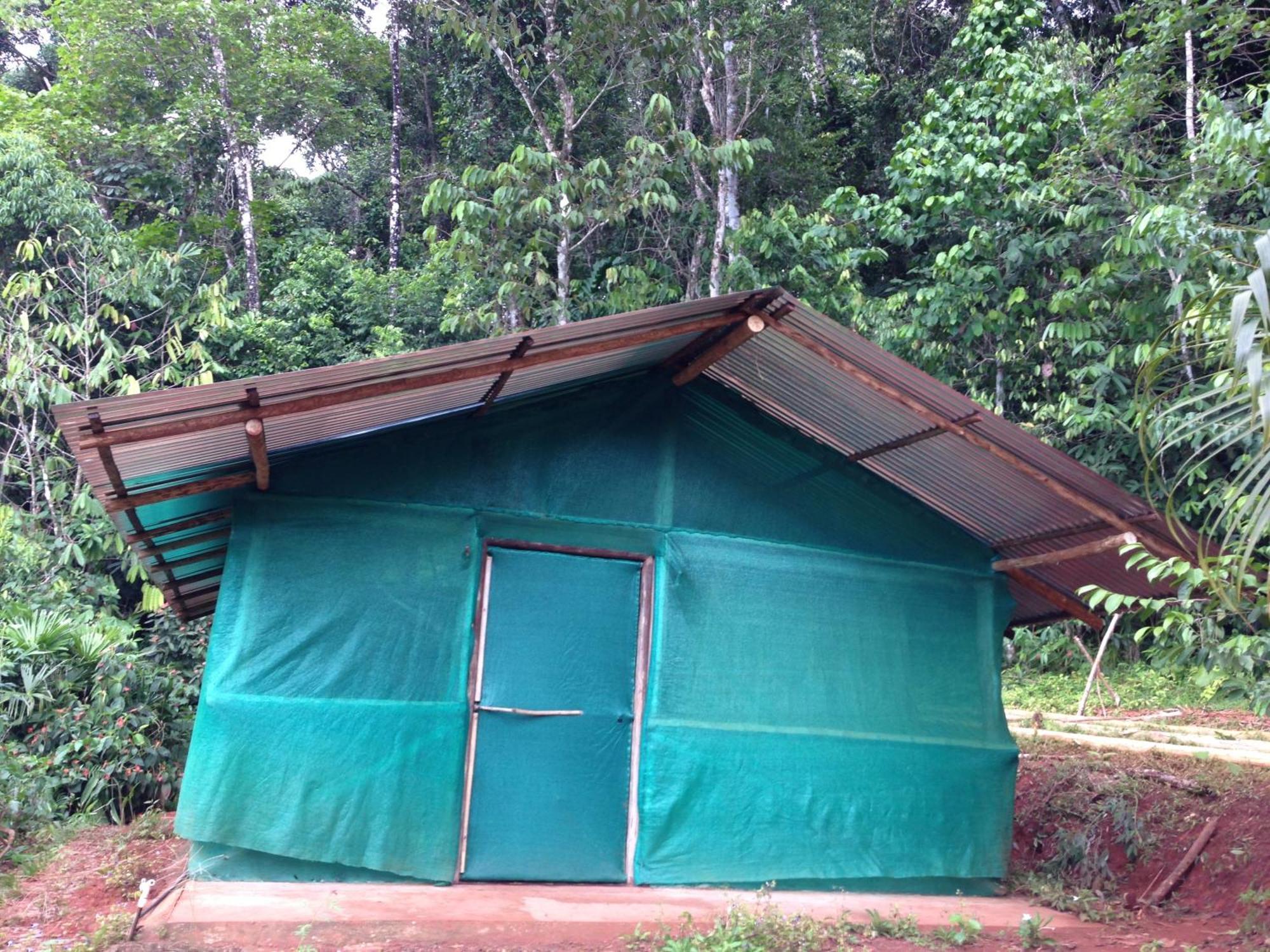 Isla Violin Eco-Lodge Drake Bay Phòng bức ảnh